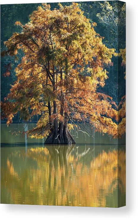 Autumn Canvas Print featuring the photograph Reflections Of Autumn by Jamie Pattison