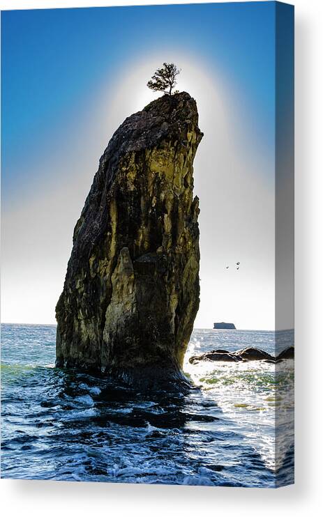 Scenery Canvas Print featuring the photograph Rialto Beach Sea Stack 2 by Pelo Blanco Photo
