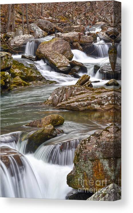 Cumberland Plateau Canvas Print featuring the photograph Richland Creek 3 by Phil Perkins