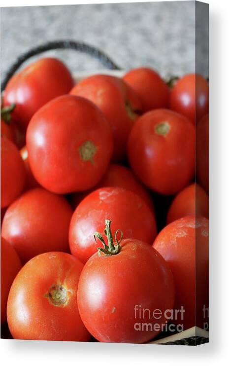 Food Canvas Print featuring the photograph Ripe Tomatoes in Bowl Vertical by Carol Groenen