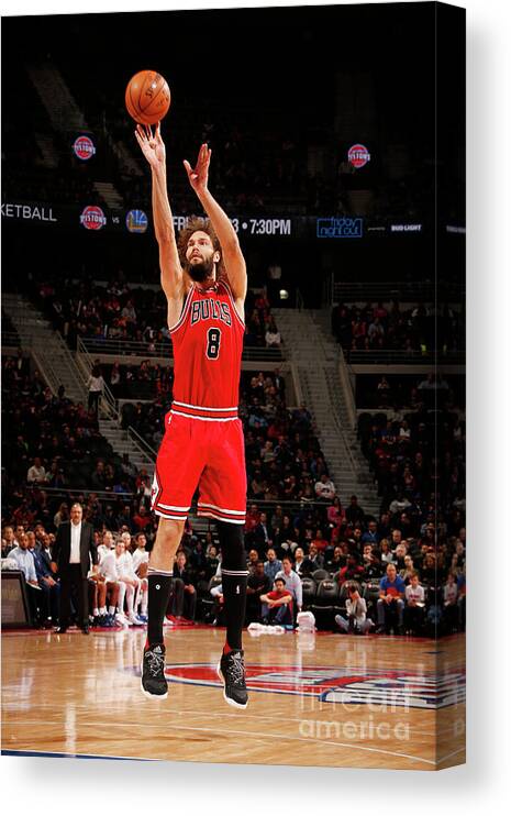 Robin Lopez Canvas Print featuring the photograph Robin Lopez by Brian Sevald
