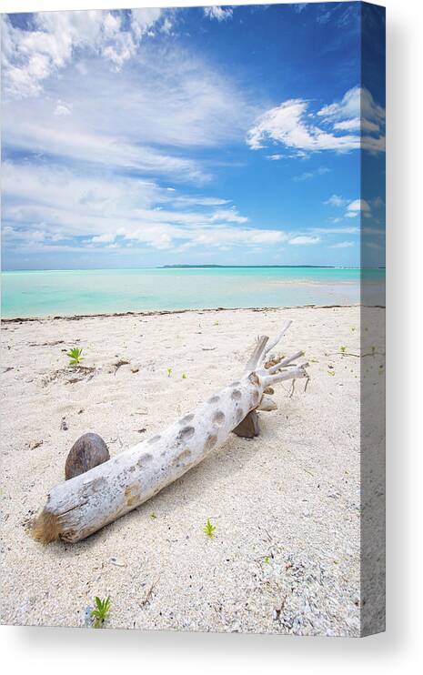 Driftwood Canvas Print featuring the photograph Robinson Crusoe's Living Room by Becqi Sherman