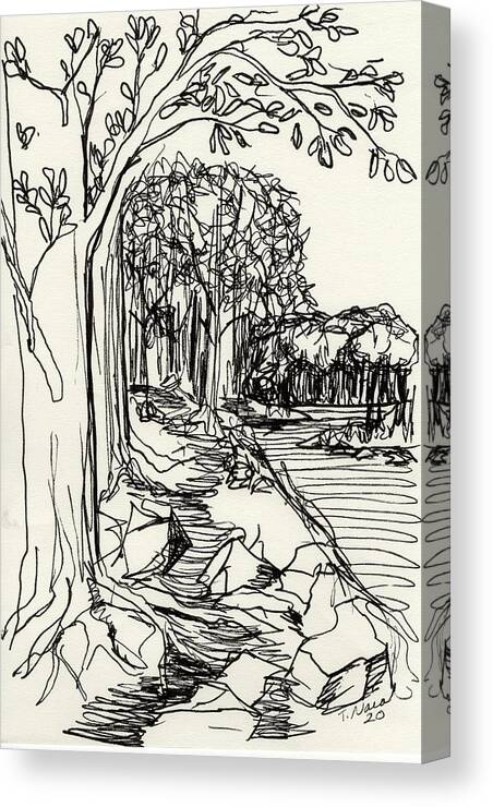 Ink Canvas Print featuring the drawing Roots and Rocks by Tammy Nara