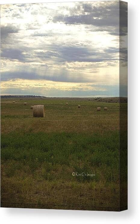Hay Bales Canvas Print featuring the photograph Round Hay Bales and Summer Sky by Kae Cheatham