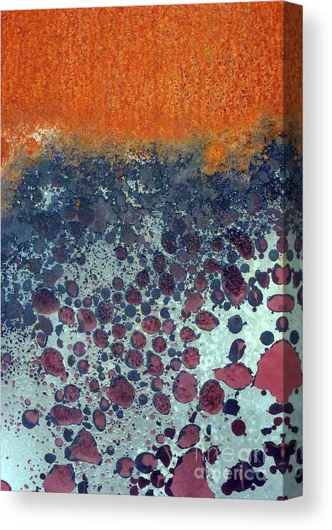 Photography Canvas Print featuring the photograph Rust #18 by Stephanie Gambini