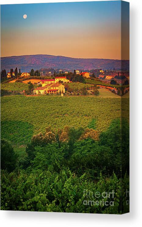 Europe Canvas Print featuring the photograph San Gimignano Vineyards by Inge Johnsson
