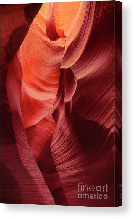 Dave Welling Canvas Print featuring the photograph Sandstone Walls Lower Antelope Slot Canyon Arizona by Dave Welling