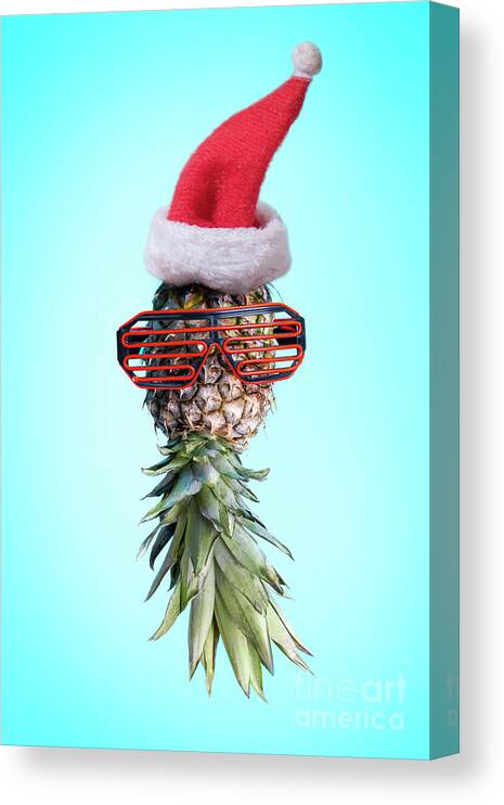 Pineapple Canvas Print featuring the photograph Santa ananas. Funky pop art minimal christmas in summer concept. by Jelena Jovanovic