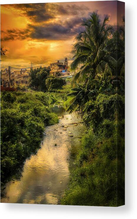 Creek Canvas Print featuring the photograph Santa Clara Guadalupe River by Micah Offman