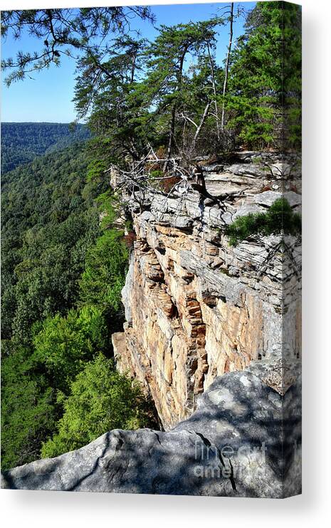 Savage Gulf Canvas Print featuring the photograph Savage Gulf 13 by Phil Perkins