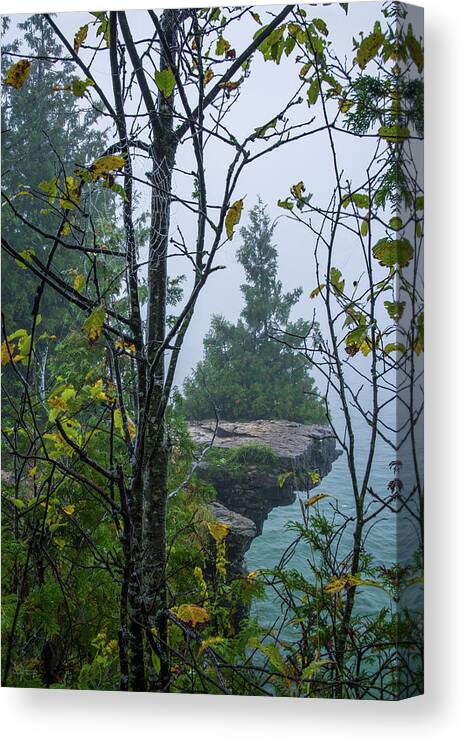 Cave Point Canvas Print featuring the photograph Sentinel Cedar at Cave Point and a droplet-bedazzled Spiderweb - Door County Wisconsin by Peter Herman