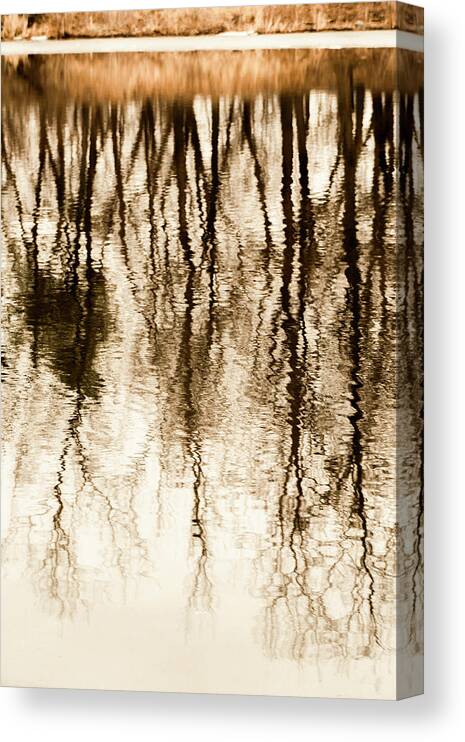 Nature Canvas Print featuring the photograph Sepia toned liquid abstract by Sven Brogren