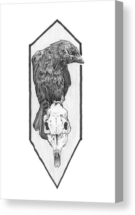 Crow Canvas Print featuring the drawing Skull and Crow by Tiffany DiGiacomo
