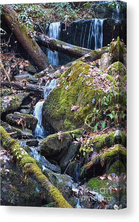 Tennessee Canvas Print featuring the photograph Small Waterfall by Phil Perkins