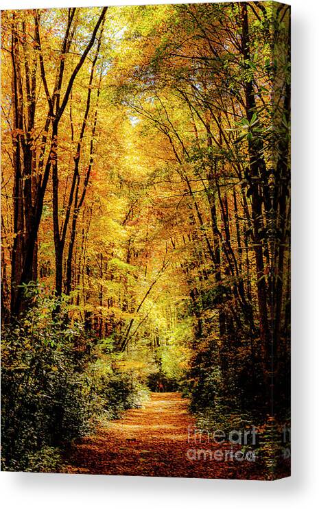 Smoky Mountains Canvas Print featuring the photograph Smoky Mountain Autumn Cathedral by Theresa D Williams