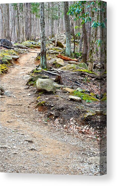 Hike Canvas Print featuring the photograph Smoky Mountain Trail by Phil Perkins