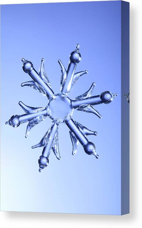 Snowflake Canvas Print featuring the photograph Snowflake by Daniel Troy
