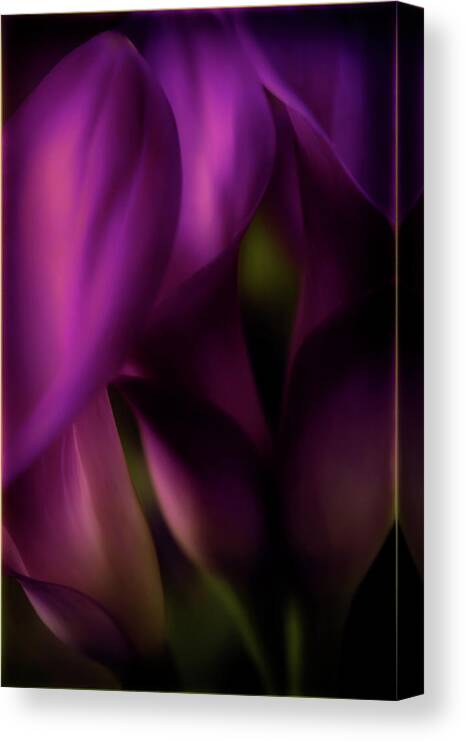 Floral Canvas Print featuring the photograph Sound of Silence - Purple Tones by Darlene Kwiatkowski