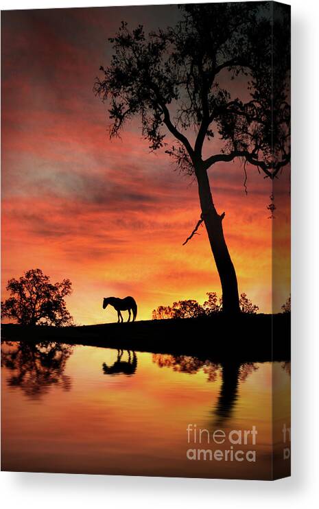 Wise Mystical Tree [WIDE] Metal Print for Sale by Cowboy Mike