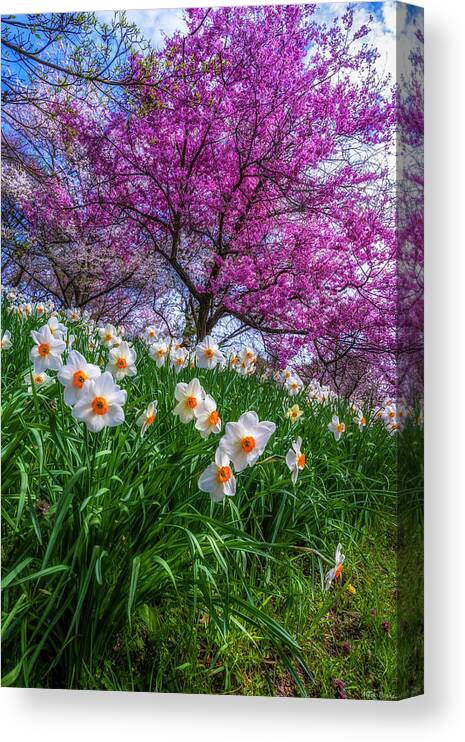 Highland Park Canvas Print featuring the photograph Spring At Highland Park by Mark Papke