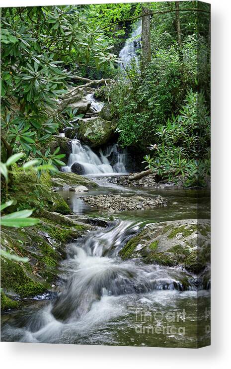 Tennessee Canvas Print featuring the photograph Spruce Flats Falls 31 by Phil Perkins