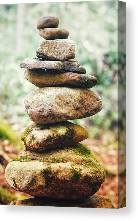 Photo Canvas Print featuring the photograph Stack'm High by Evan Foster