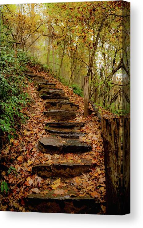 Nature Canvas Print featuring the photograph Stairs through Autumn Beauty by Cindy Robinson