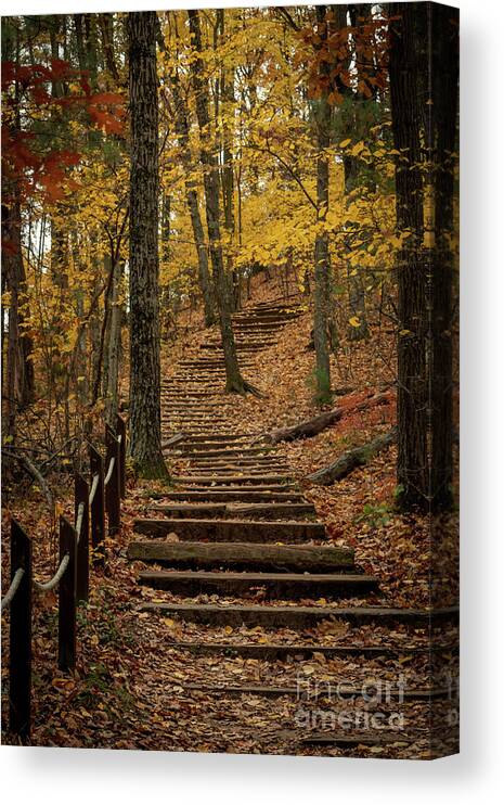 Stairway Canvas Print featuring the photograph Stairway to Heaven by Amfmgirl Photography