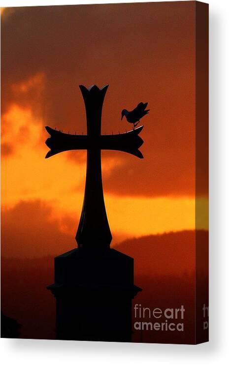 Cross Canvas Print featuring the photograph Steeple Perch by Kimberly Furey