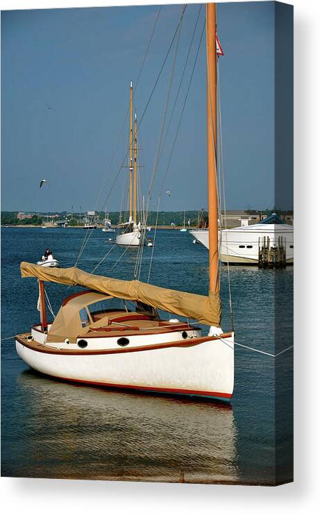 Sailboat Canvas Print featuring the photograph Still Sailboat by Sue Morris