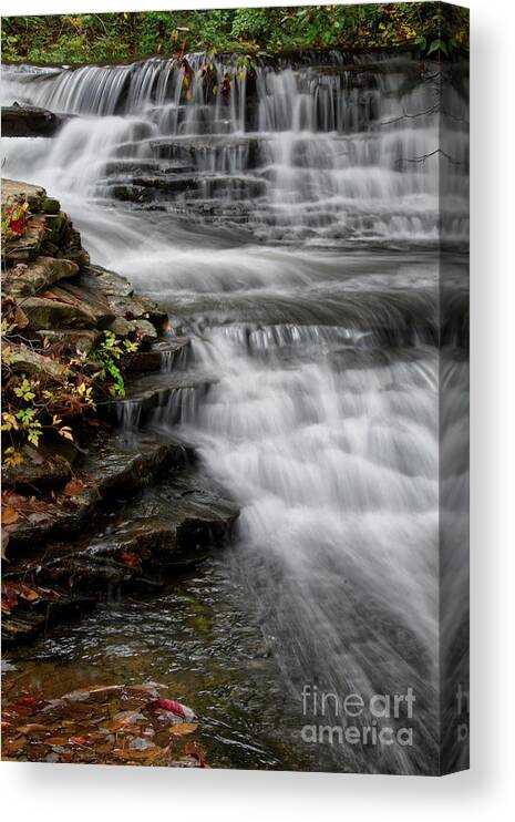 Hike Canvas Print featuring the photograph Stinging Fork Falls 33 by Phil Perkins