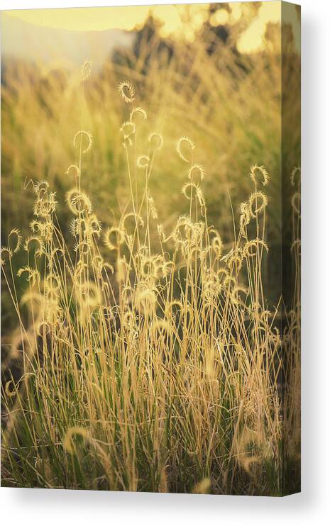 Mountain Canvas Print featuring the photograph Sun Swirls by Go and Flow Photos