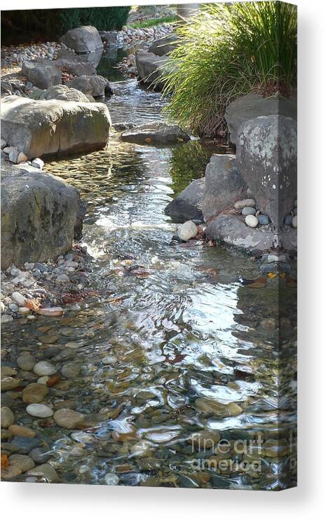 Water Canvas Print featuring the photograph Sunlight on Rocky Creek by Carol Groenen