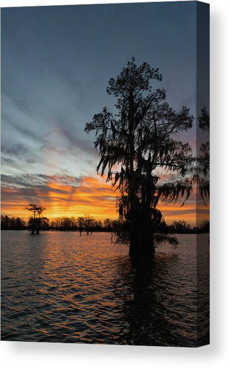 Sunrise Canvas Print featuring the photograph Sunrise in the Swamp 2 by Tim Stanley