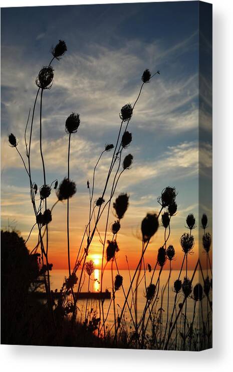 Lake Superior Sunrise Canvas Print featuring the photograph Sunrise through the pods by Dorsey Northrup