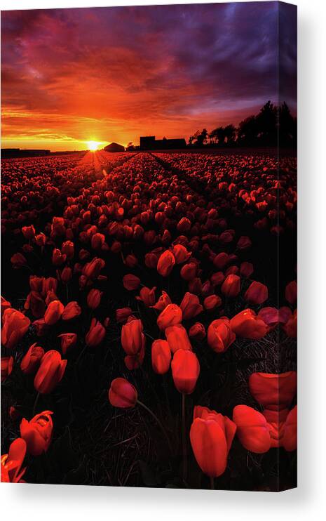 Landscape Canvas Print featuring the photograph Sunset fire by Jorge Maia