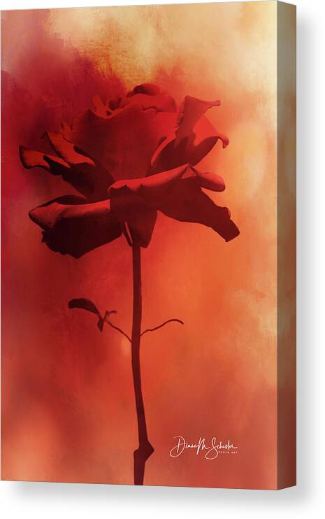 Sunset Rose Canvas Print featuring the photograph Sunset Rose by Diane Schuster