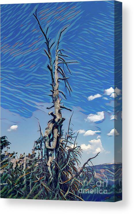 Oregon Canvas Print featuring the photograph Surreal Twisted Tree by Roslyn Wilkins