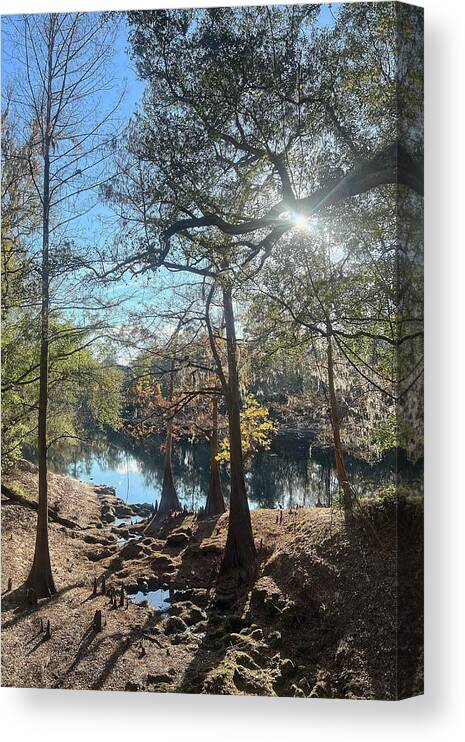 Suwannee River Canvas Print featuring the photograph Suwannee Winter Afternoon by Paul Rebmann