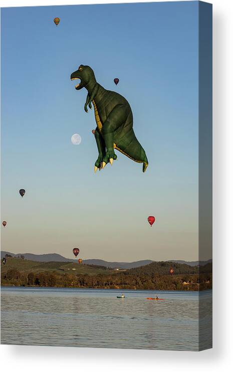 Canberra Canvas Print featuring the photograph T-Rex by Ari Rex