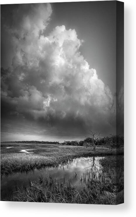 Clouds Canvas Print featuring the photograph Tall Clouds over the Marsh Black and White by Debra and Dave Vanderlaan