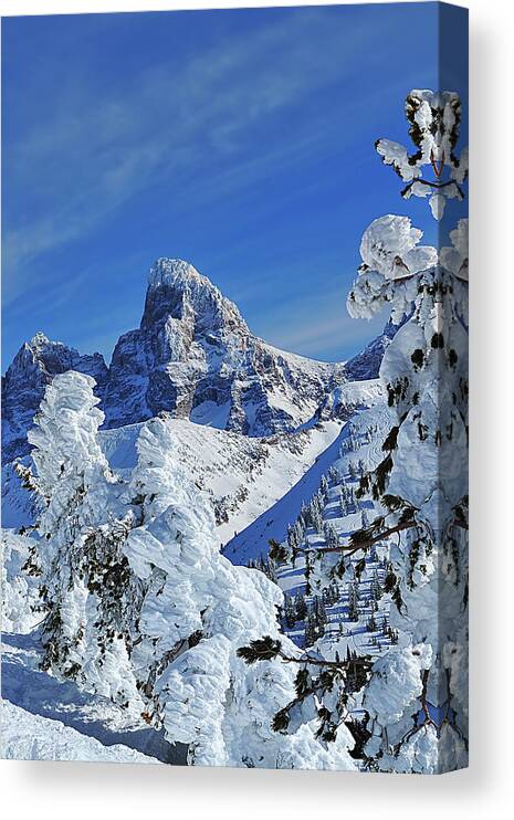 Grand Teton Canvas Print featuring the photograph Teton Winter Portrait by Greg Norrell