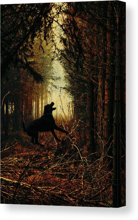 Dog Canvas Print featuring the photograph The dog of the forest by Yasmina Baggili