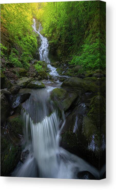Landscape Canvas Print featuring the photograph The enchanted waterfall by Cosmin Stan