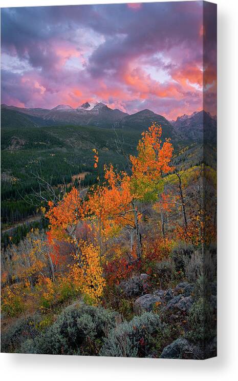 Longs Canvas Print featuring the photograph The End of Autumn - Rocky Mountain National Park by Aaron Spong