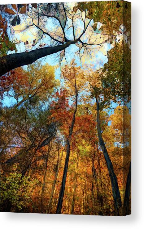 Clouds Canvas Print featuring the photograph The Forest's Embrace Painting by Debra and Dave Vanderlaan