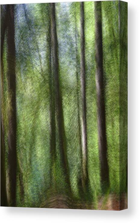 Trees Canvas Print featuring the digital art The Quiet Forest by Kathy Paynter