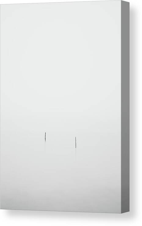 Fog Canvas Print featuring the photograph The Twins by Robert Mintzes