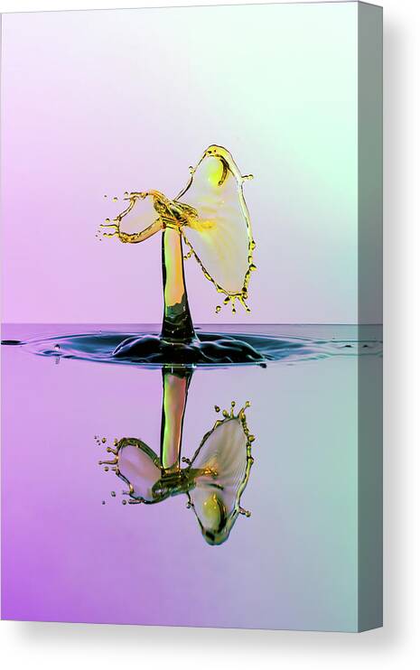 Abstract Canvas Print featuring the photograph The Twister by Sue Leonard