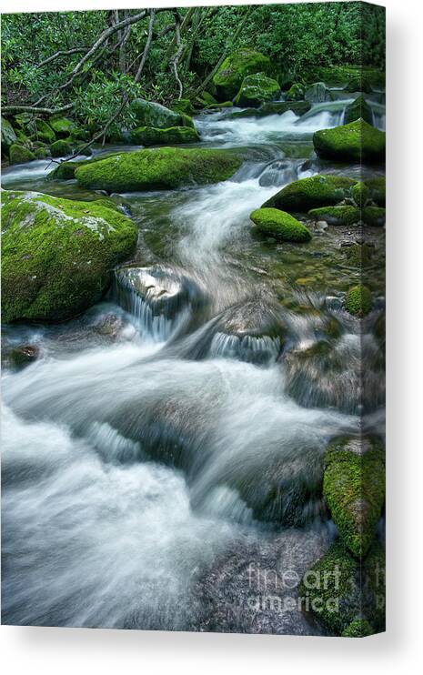 Smoky Mountains Canvas Print featuring the photograph Thunderhead Prong 16 by Phil Perkins